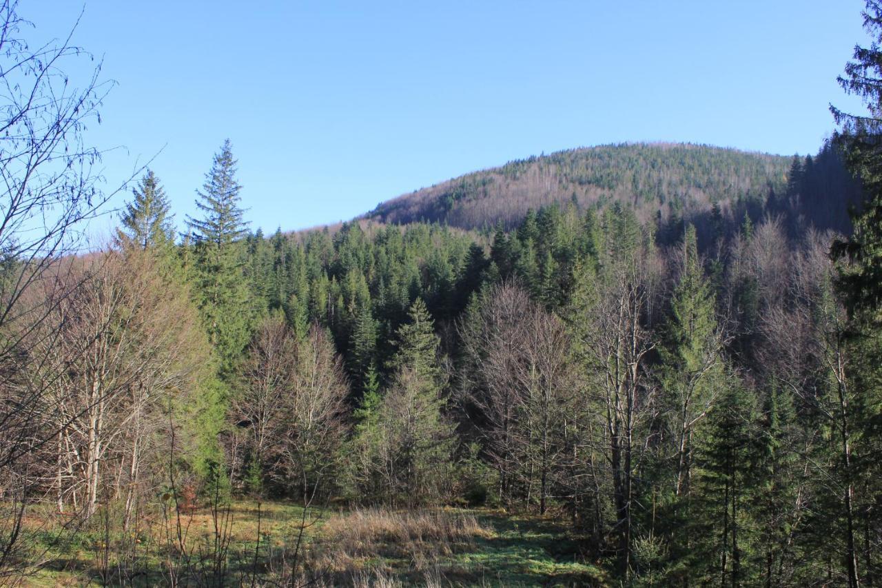Котедж Mountain House Jaremtsje Eksteriør bilde